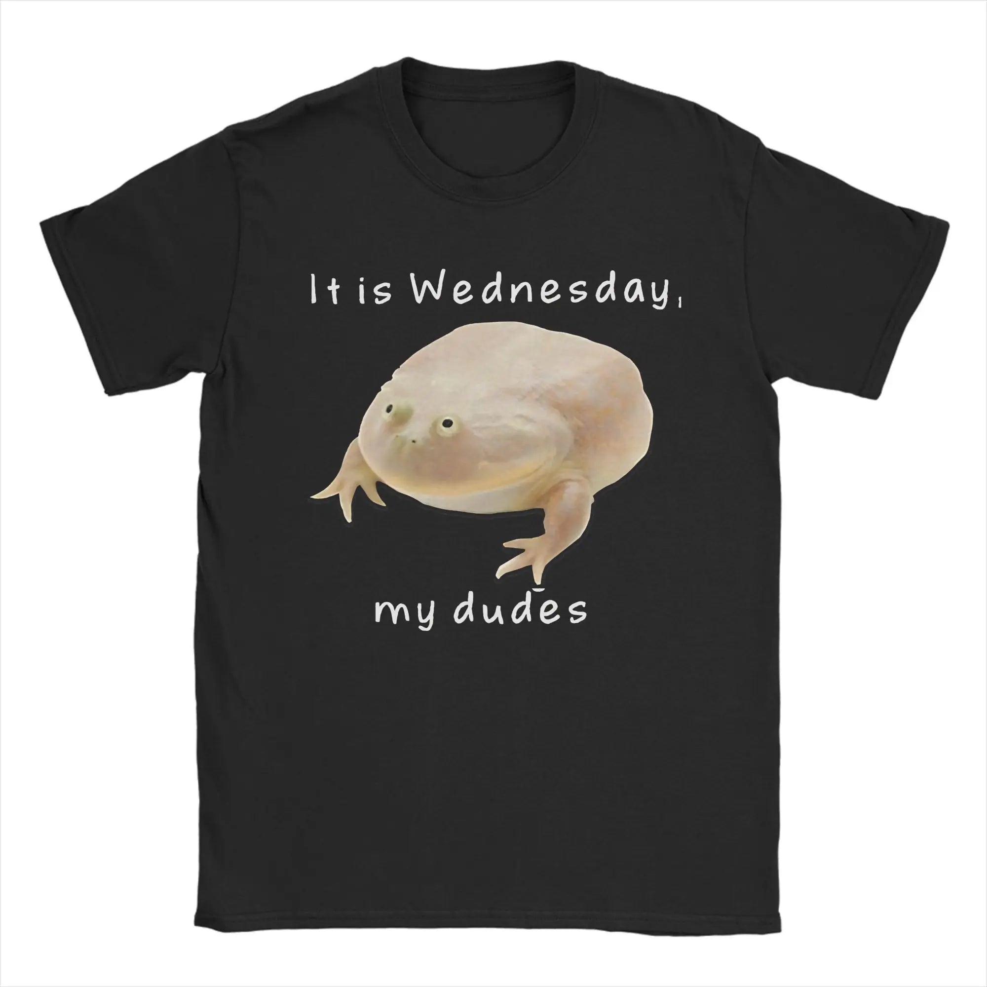 Black “It Is Wednesday My Dudes” Meme T-Shirt